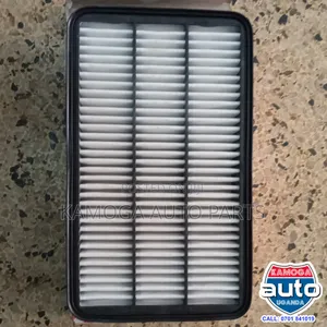Engine Air Filters or Cleaners.