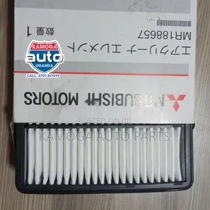 Engine Air Filters or Cleaners.