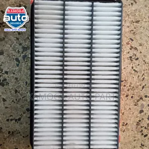 Engine Air Filters or Cleaners.