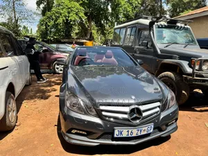 Mercedes-Benz E250 2008 Gray
