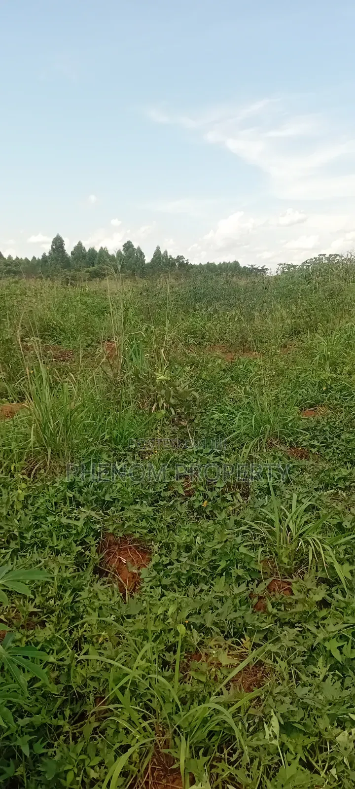 4 Acres on Sale Kakoge Titled