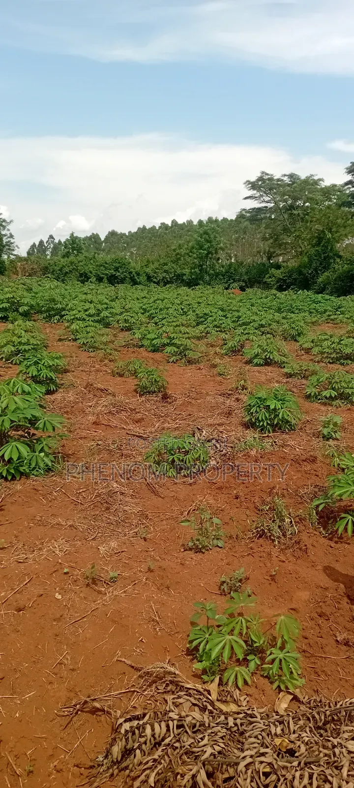 4 Acres on Sale Kakoge Titled