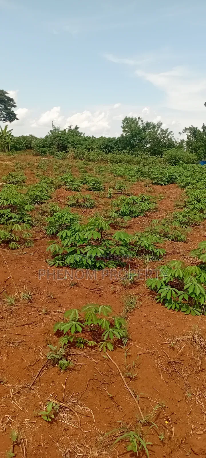 4 Acres on Sale Kakoge Titled