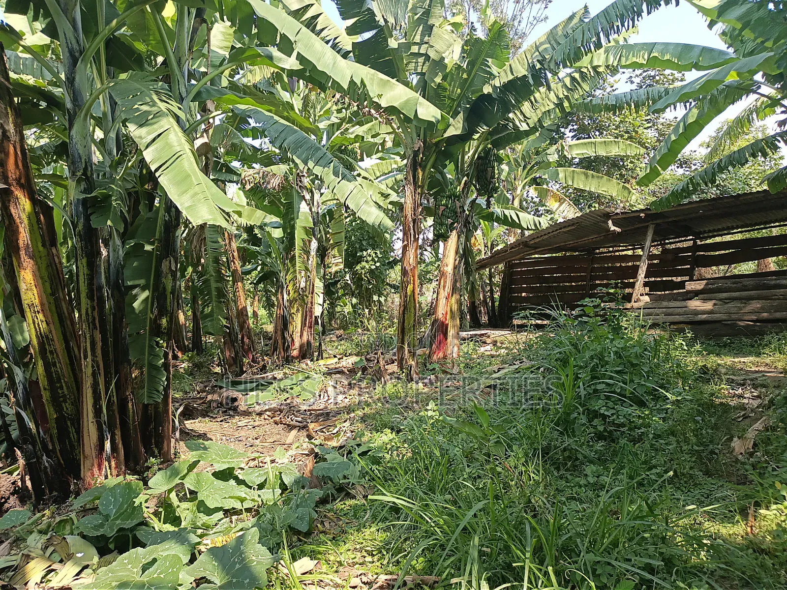 5bdrm Bungalow in Kabalore for sale