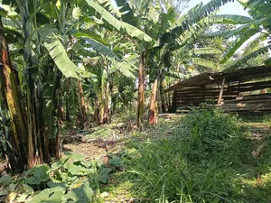 5bdrm Bungalow in Kabalore for sale