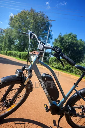 New Electric Bicycle 2025 Gray