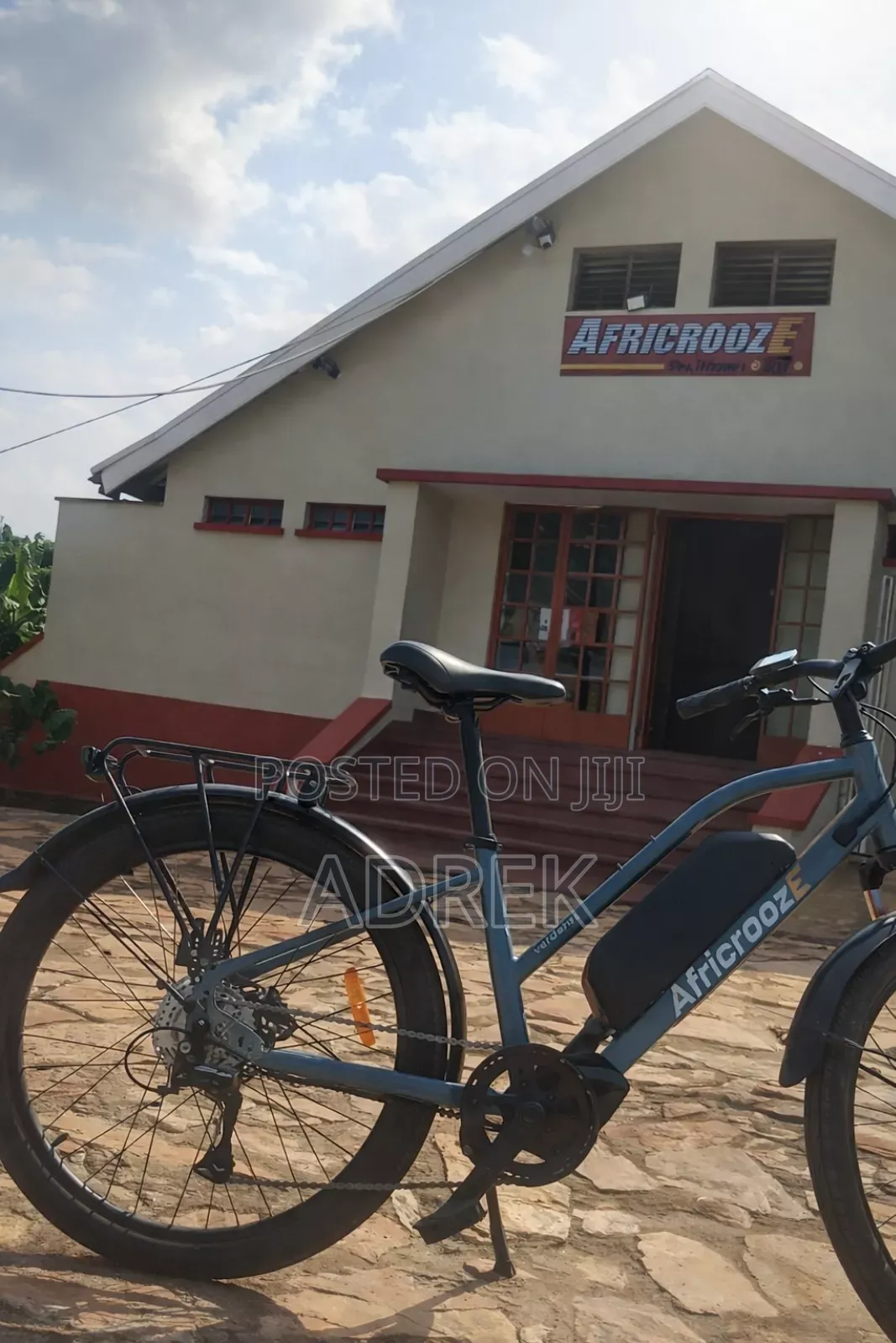 New Electric Bicycle 2025 Gray