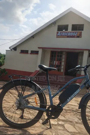 New Electric Bicycle 2025 Gray