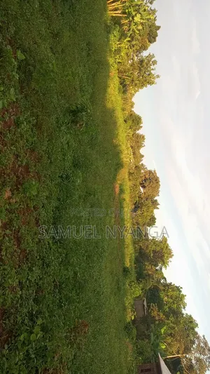 100x100 Ft Plots