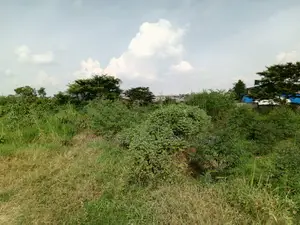  Commercial Plot for Sale – Seguku Nican