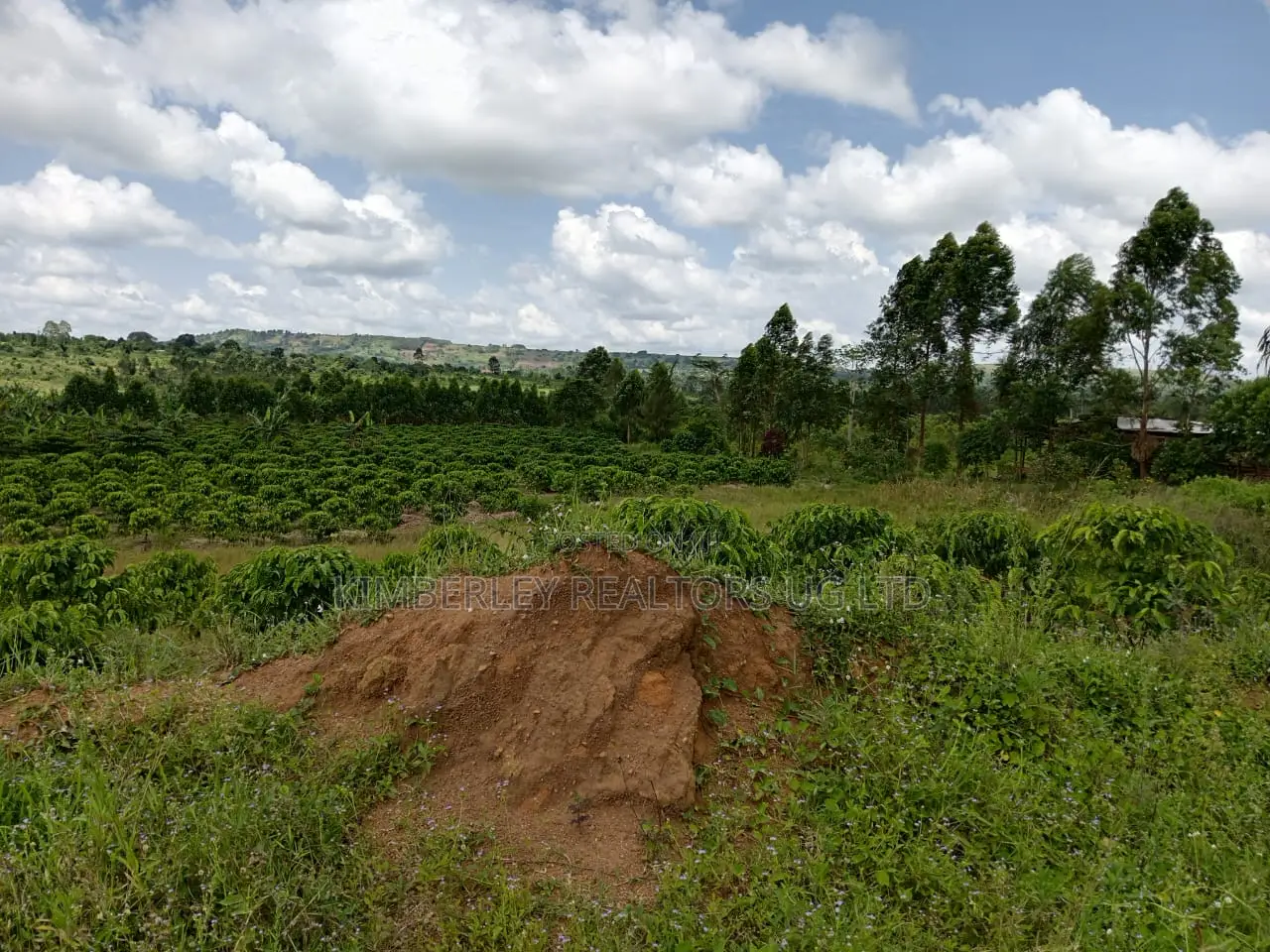  Commercial Plot for Sale – Seguku Nican