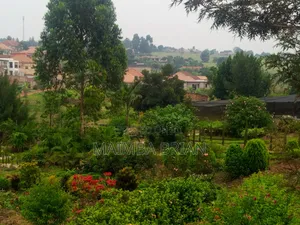 2 Commercial Acres and 40 Decimals for Sale on Gayaza
