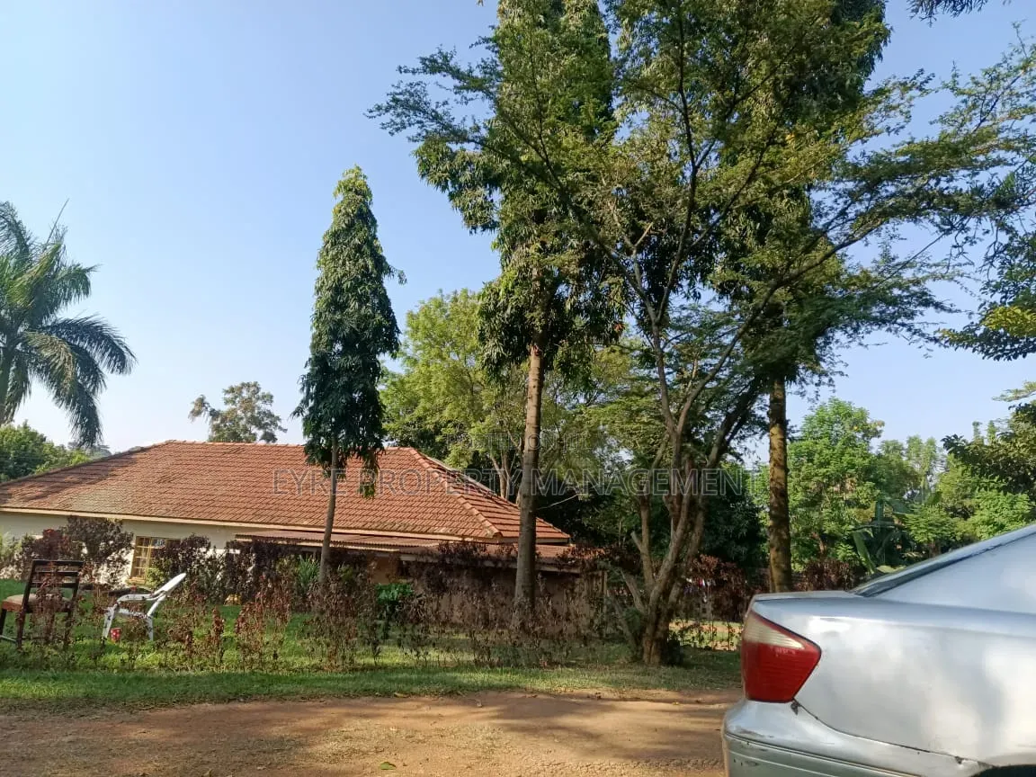 61 Decimals in Kyambogo Lower Estate for 