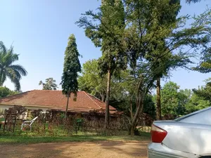 61 Decimals in Kyambogo Lower Estate for 