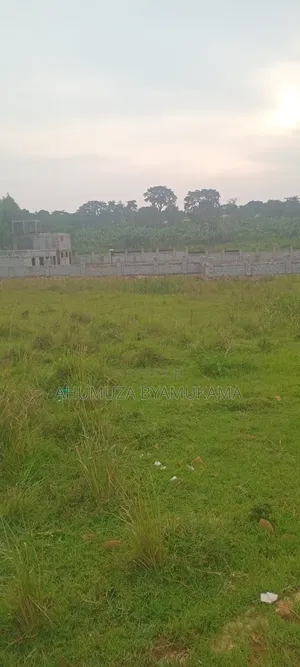 Bwerenga Plot