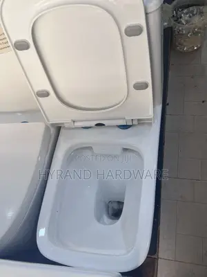 Ordinary Frencia Toilets