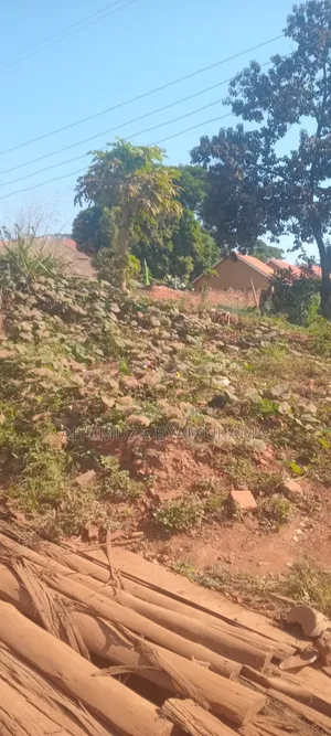 Katale- Seguku Plot Entb Rd