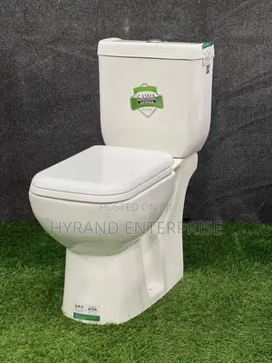 Ordinary Sawa Toilet Seats