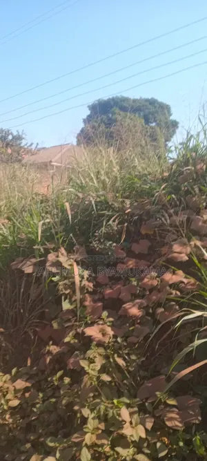 Kabale,Katabi Entb Plot