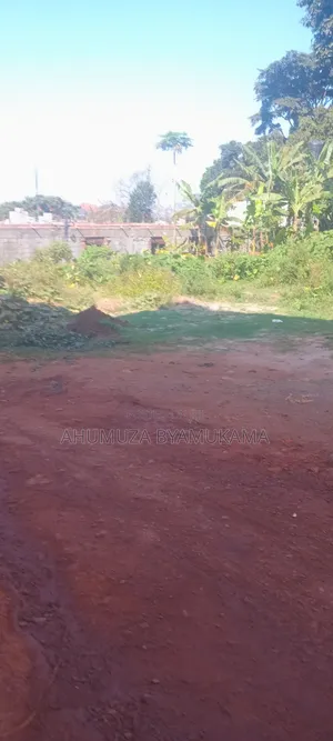 Mbubuli Entb Road