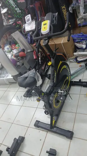 Gym Bicycle / Exercise Bike