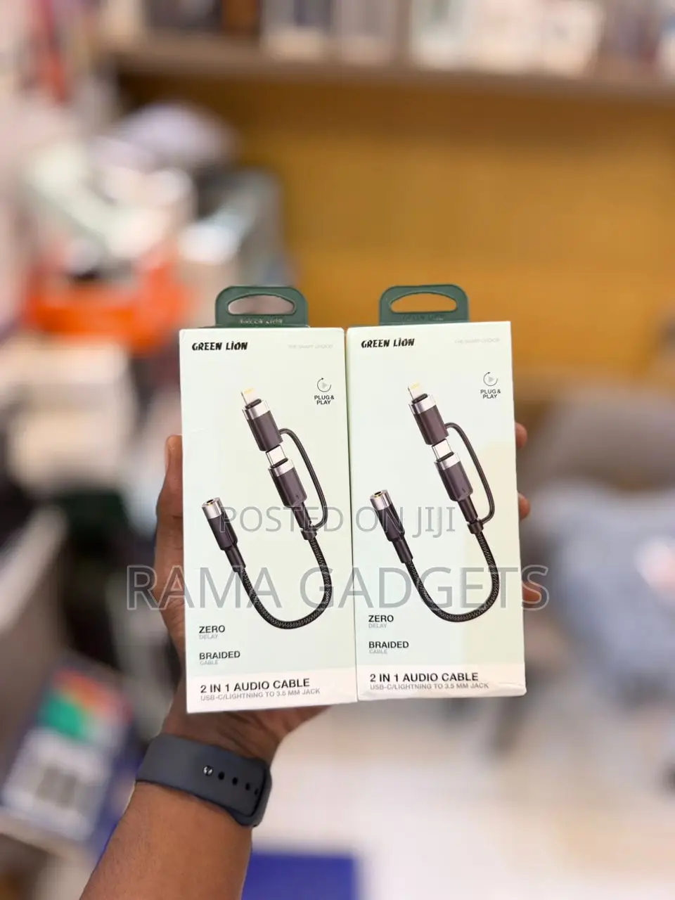 Green Lion 2-in-1 Audio Cable