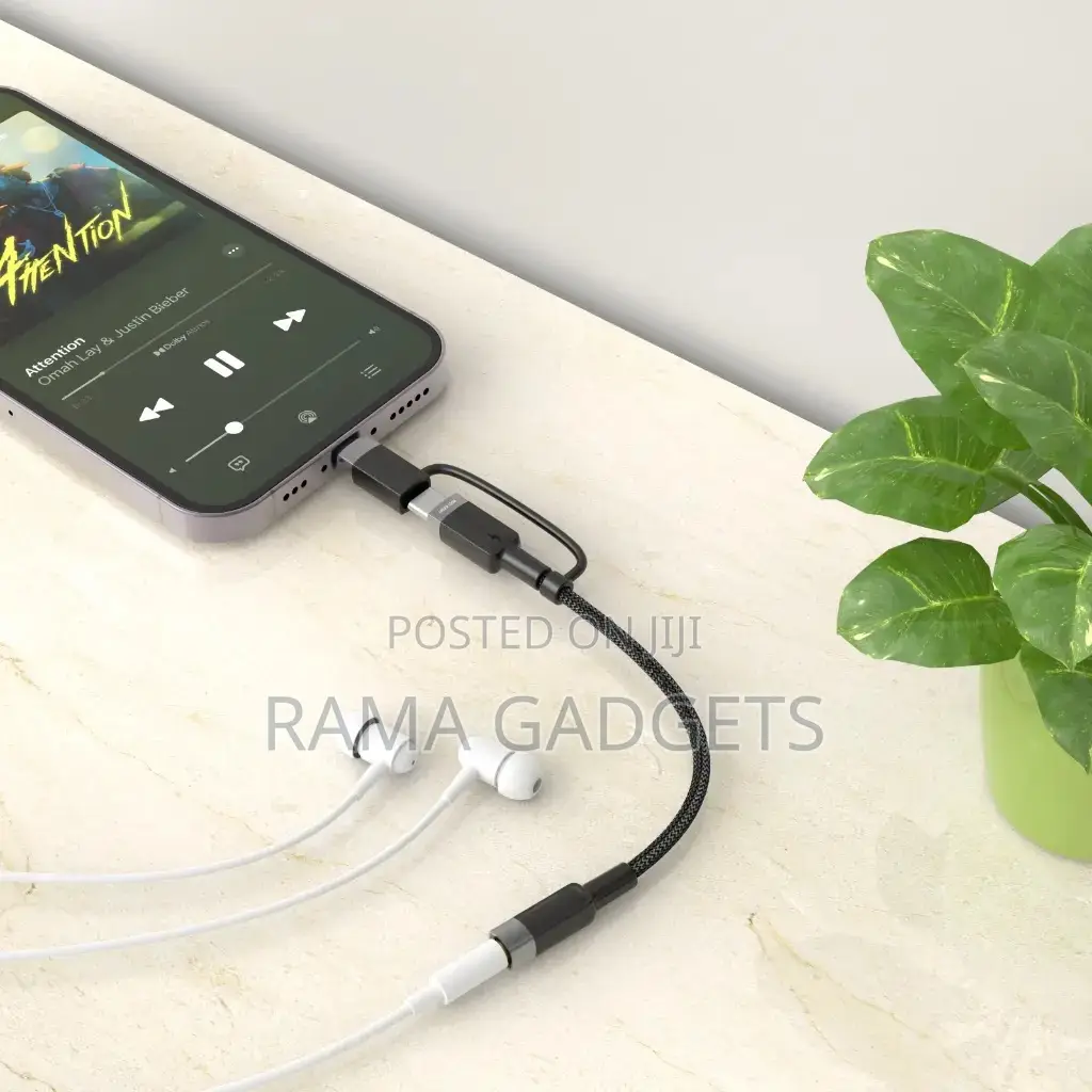 Green Lion 2-in-1 Audio Cable