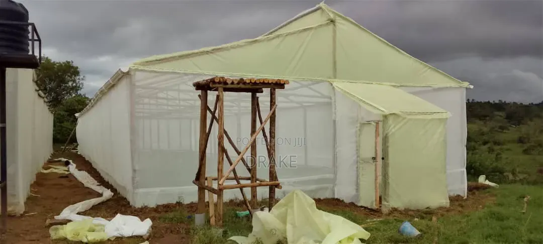 Wooden Greenhouse Structure