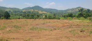 Plots 50ft by 100ft at Kapeeka