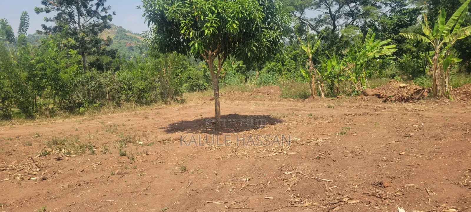 Plots 50ft by 100ft at Kapeeka