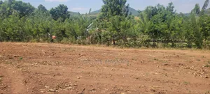 25ft by 50ft Plots for Sale at Kapeeka