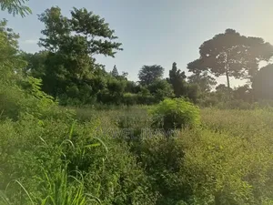 Gayaza Vumba Kiwangula Estate