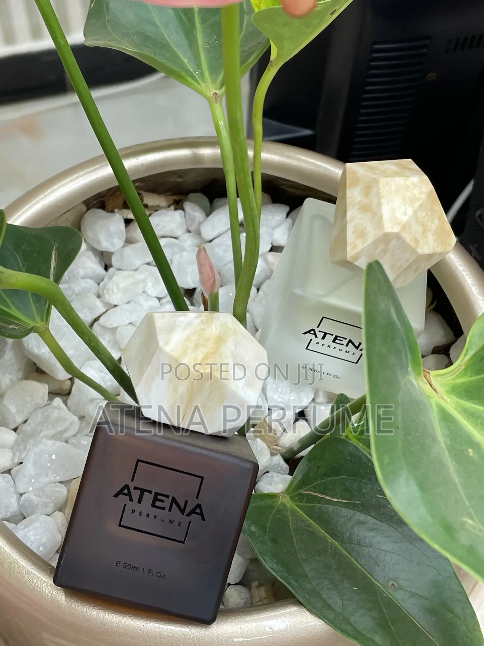 30ml Perfume Kampala | Choose Any Scent You Want