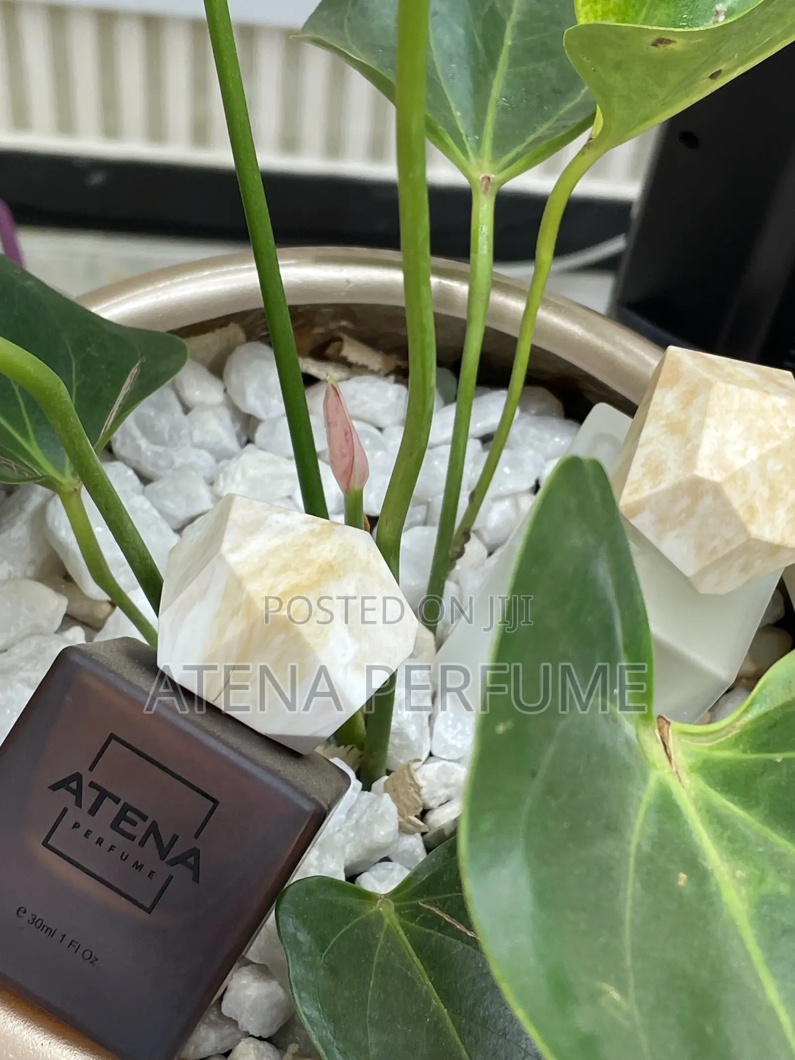 Luxury Perfume 30ml Kampala | Men’S Women’S Fragrances