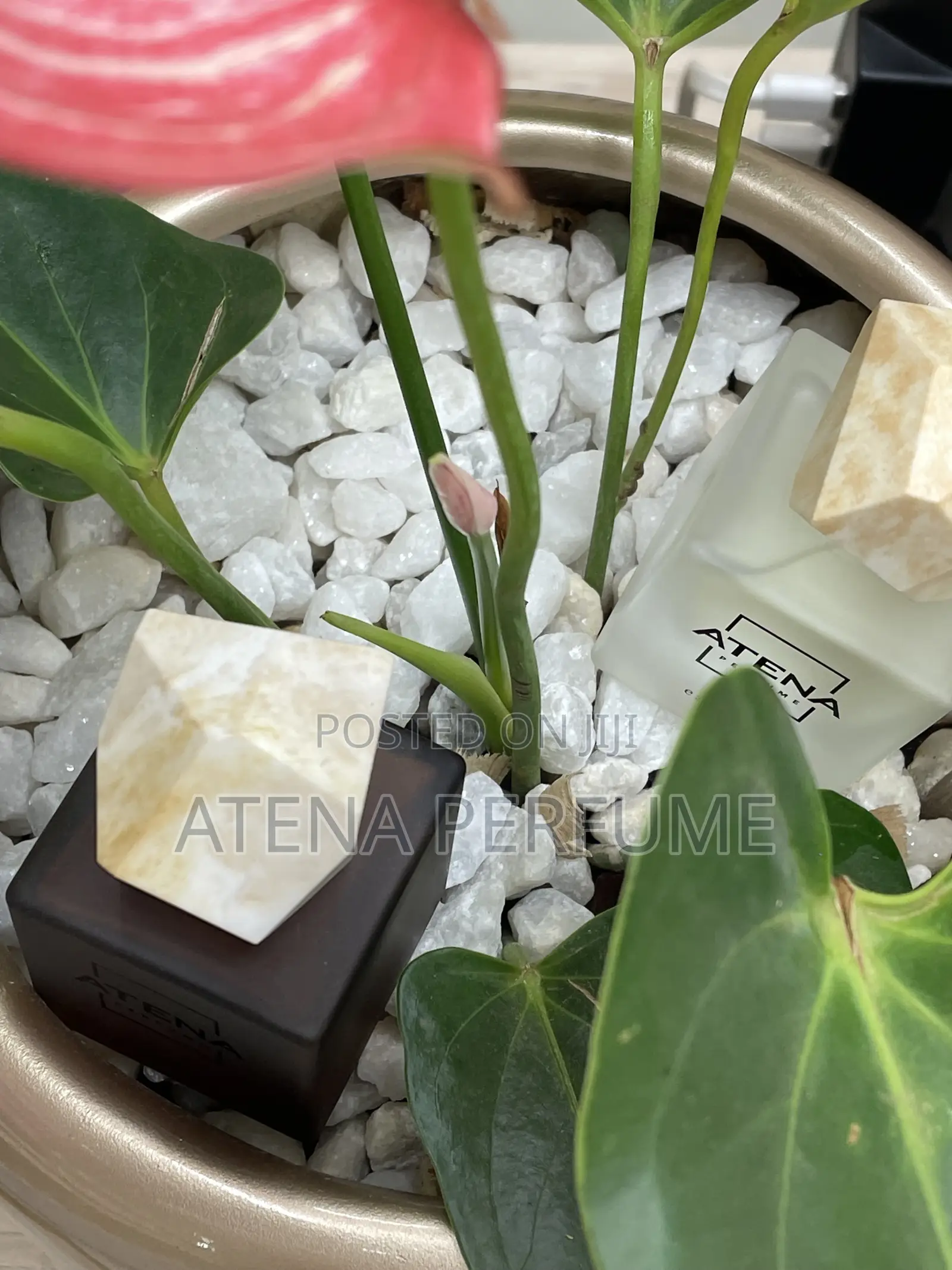 Luxury Perfume 30ml Kampala | Men’S Women’S Fragrances
