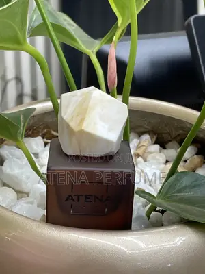Affordable Luxury Perfume Kampala | 30ml Any Scent Available