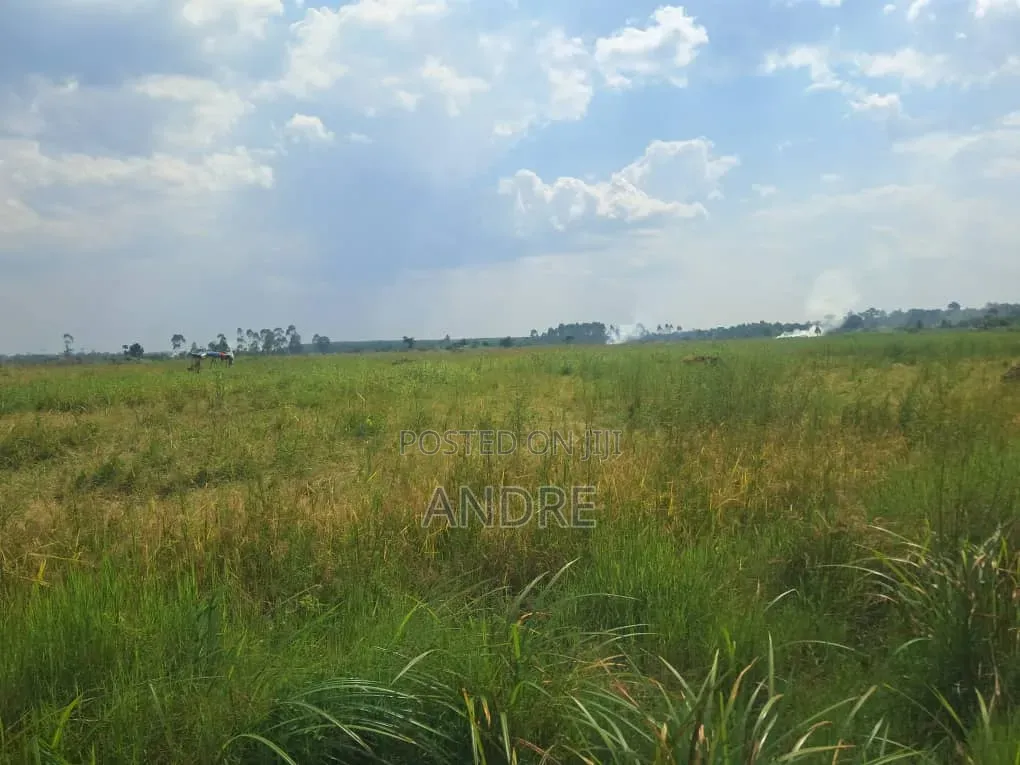 12 Acres of Farmland Zirobwe
