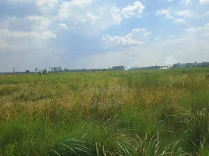 12 Acres of Farmland Zirobwe