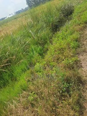 12 Acres of Farmland Zirobwe