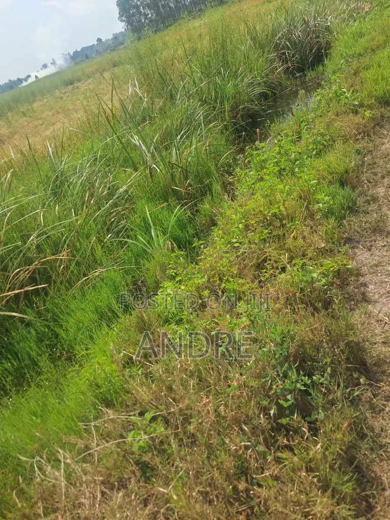 12 Acres of Farmland Zirobwe