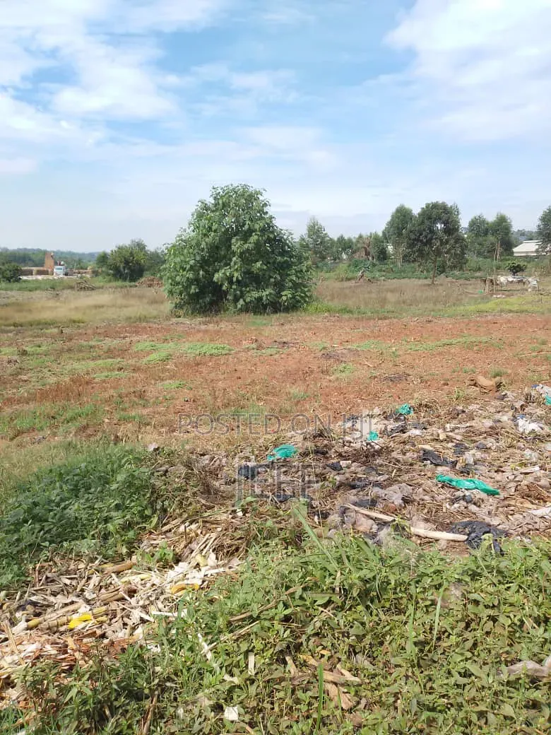 Commercial Land Measuring 3 Acres Available for Sale at 1,