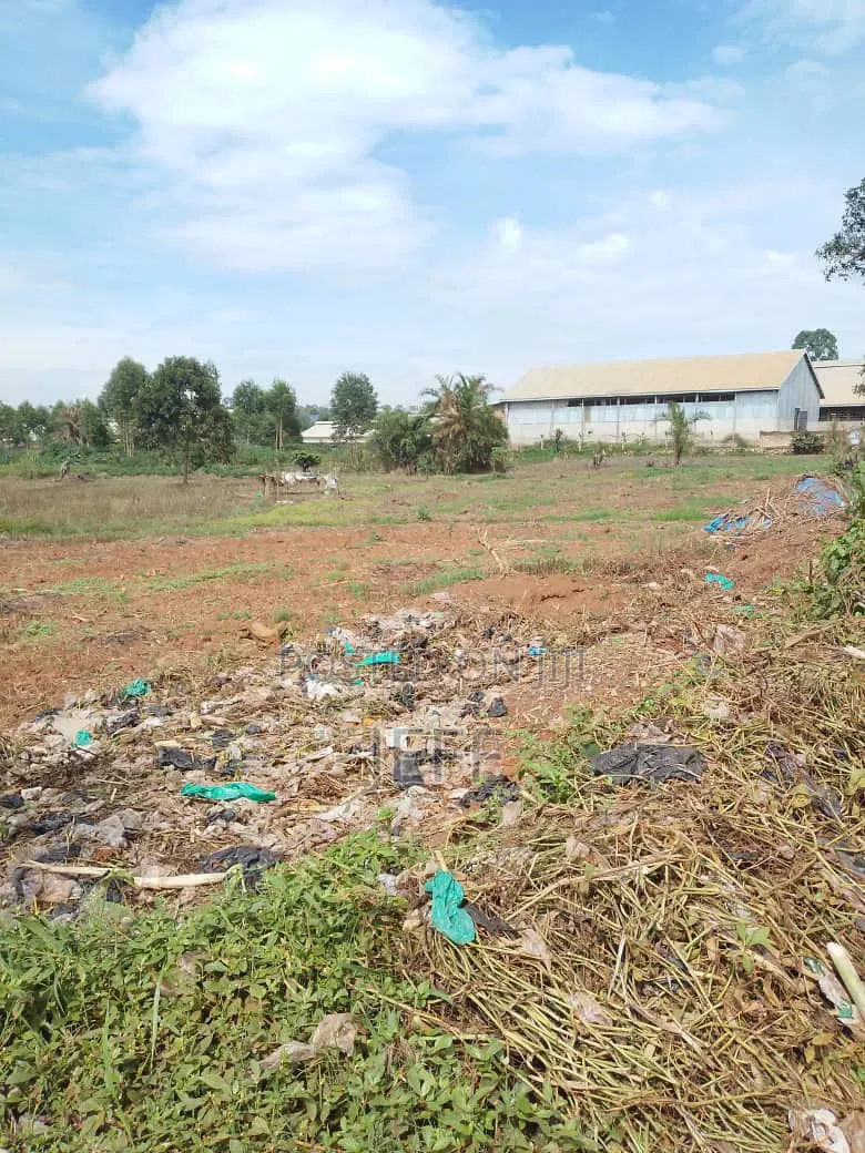 Commercial Land Measuring 3 Acres Available for Sale at 1,
