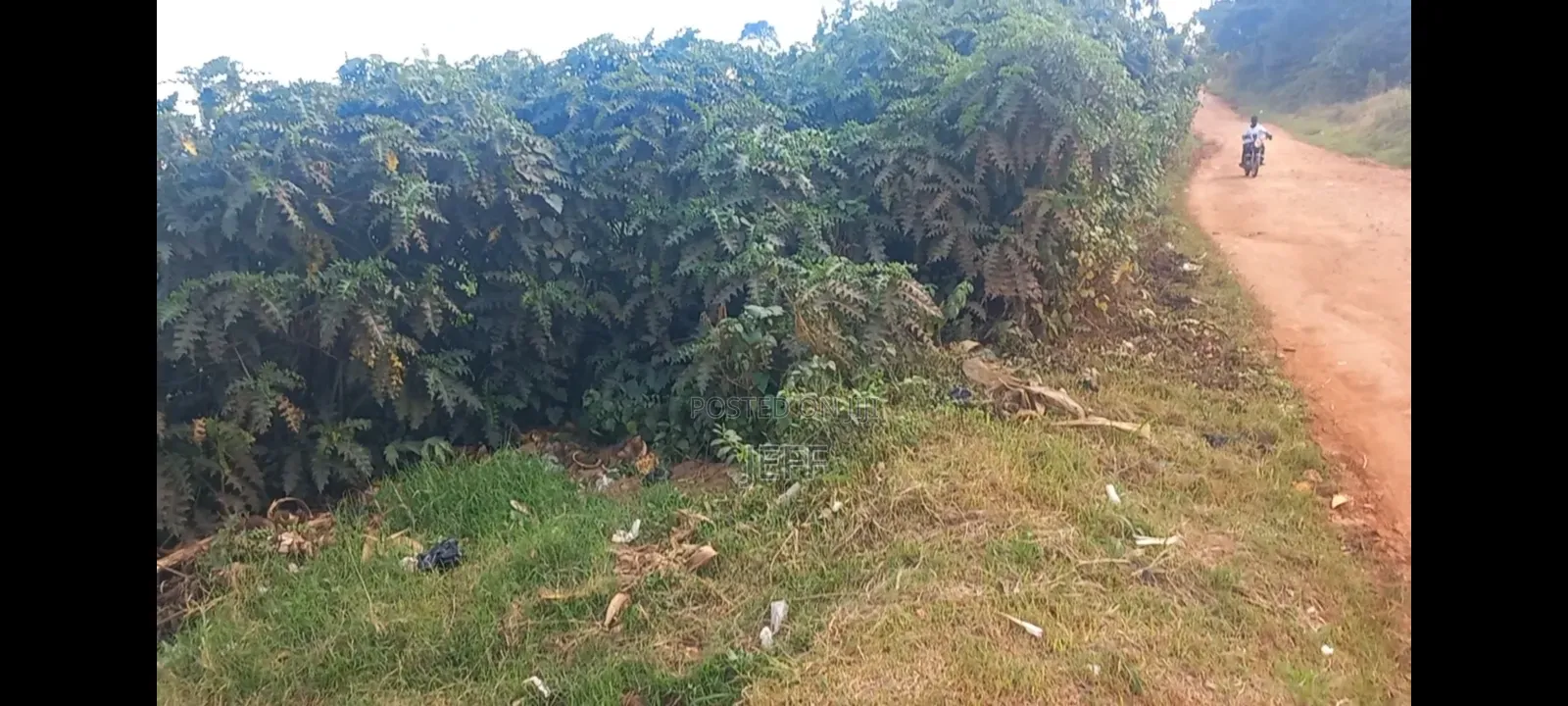Commercial Land Measuring 3 Acres Available for Sale at 1,