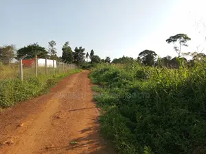 Prime Plot for Sale – Entebbe Ssisa Estate