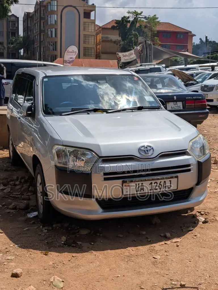Toyota Probox 2010 Silver