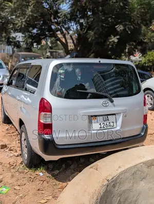 Toyota Probox 2010 Silver