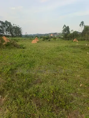 Estate Plots for Sale – Hoima Road (Nsekwa)
