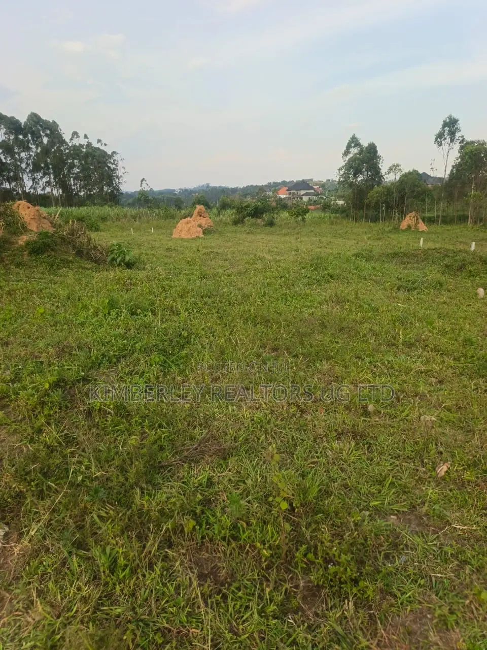 Estate Plots for Sale – Hoima Road (Nsekwa)