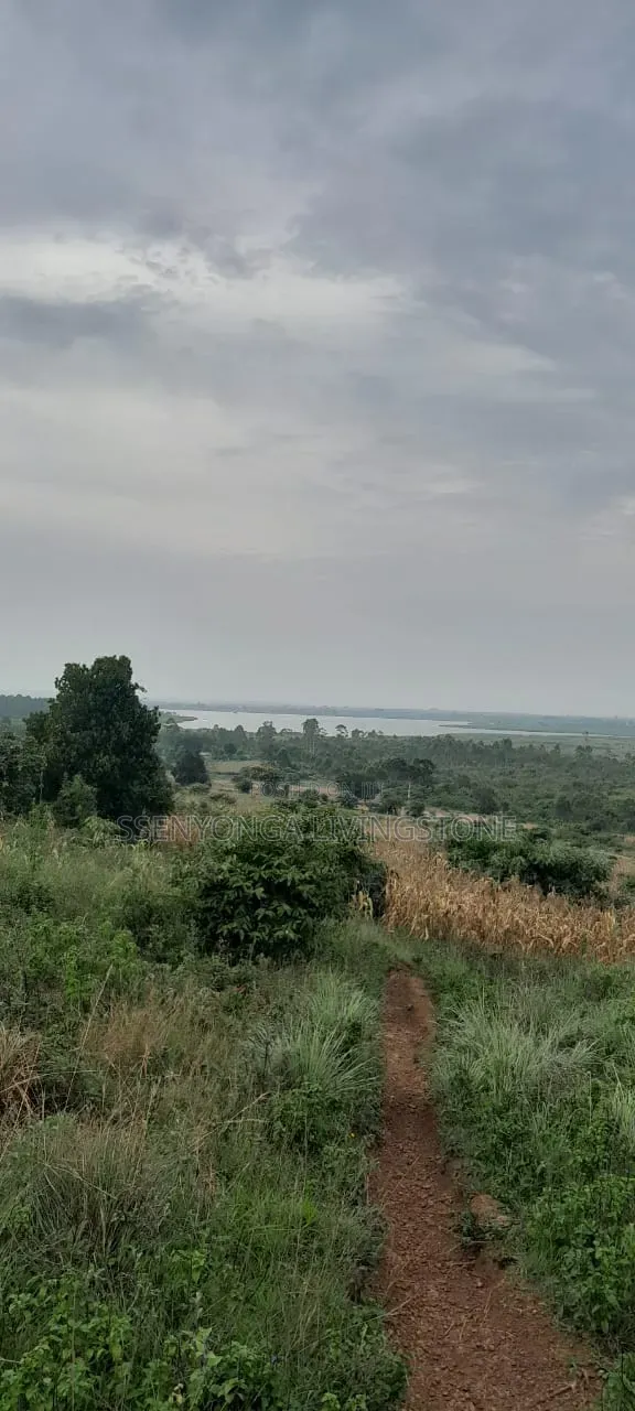 10 Acres of Land in Mityana