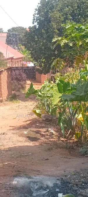 Kijabijo - Gayaza Rd